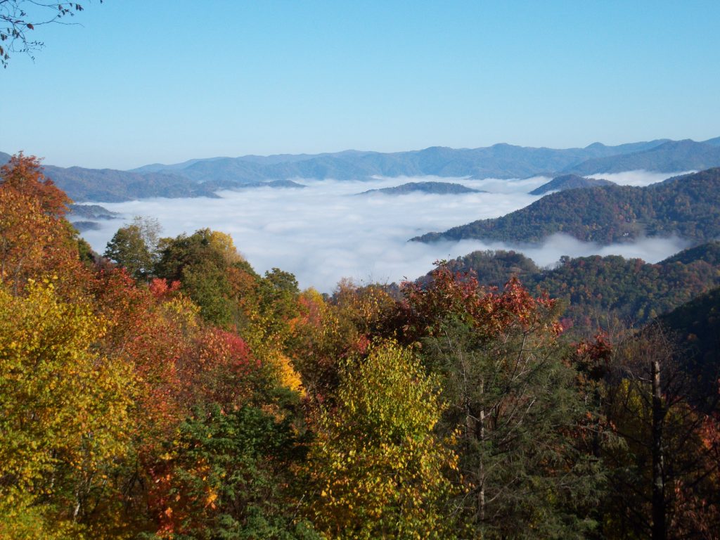 maggie valley log cabins