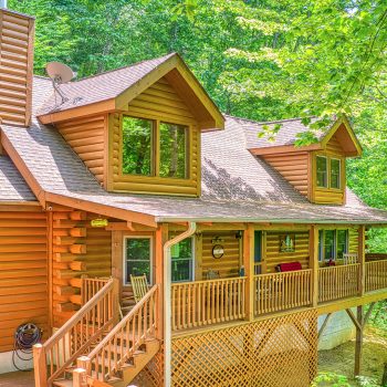 Bearadise, maggie valley log cabins